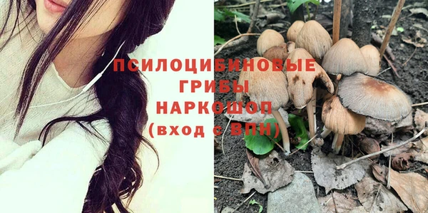 молекула духа Верхний Тагил
