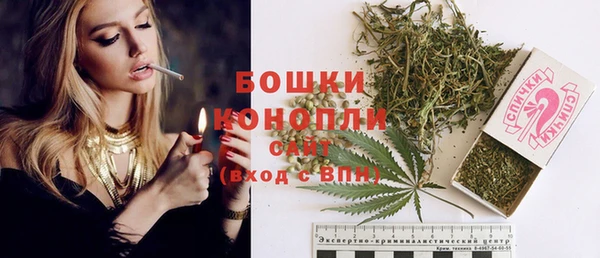 молекула духа Верхний Тагил