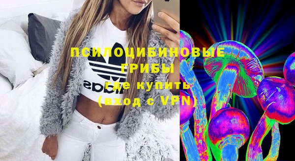 молекула духа Верхний Тагил